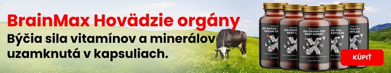 (Slovenčina) Hovězí orgány